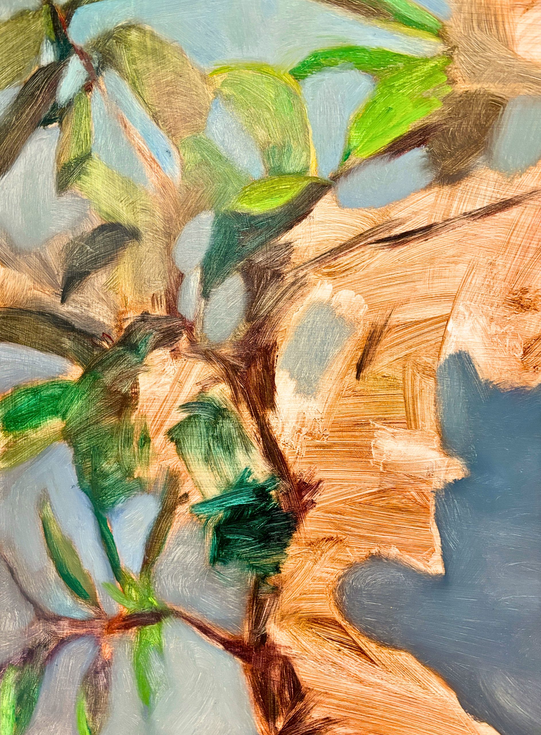 Reflections on the ficus