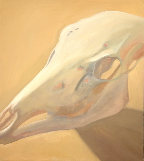 Flesh, Bone and Will, Oil study of a doe skull