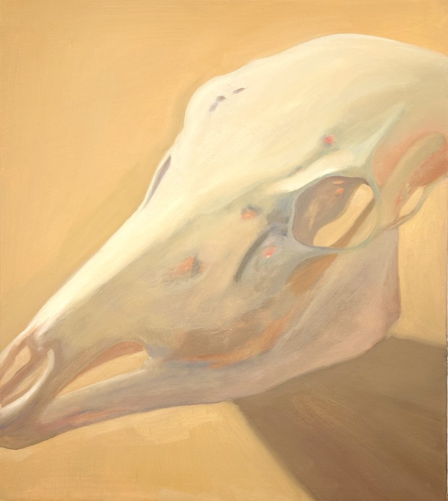 Flesh, Bone and Will, Oil study of a doe skull