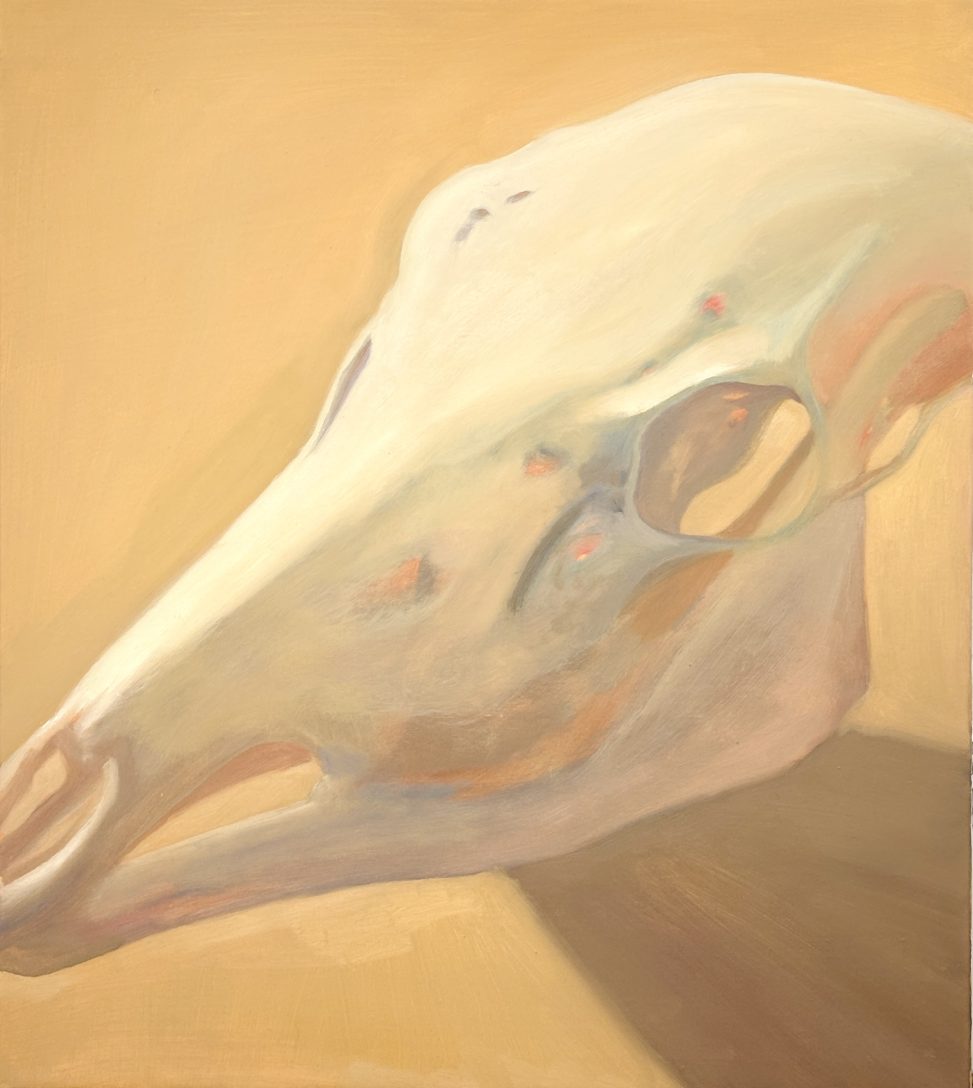 Flesh, Bone and Will, Oil study of a doe skull