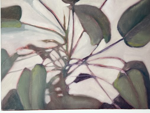 Roots, plant study, oil paining