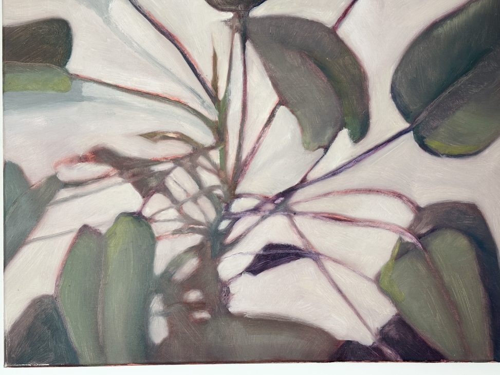 Roots, plant study, oil paining