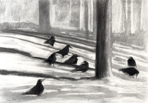 Rooks on Snow, 50x70cm, charcoal on paper