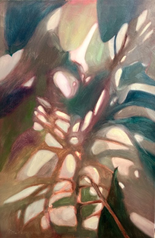 Meditations on a Monstera Plant