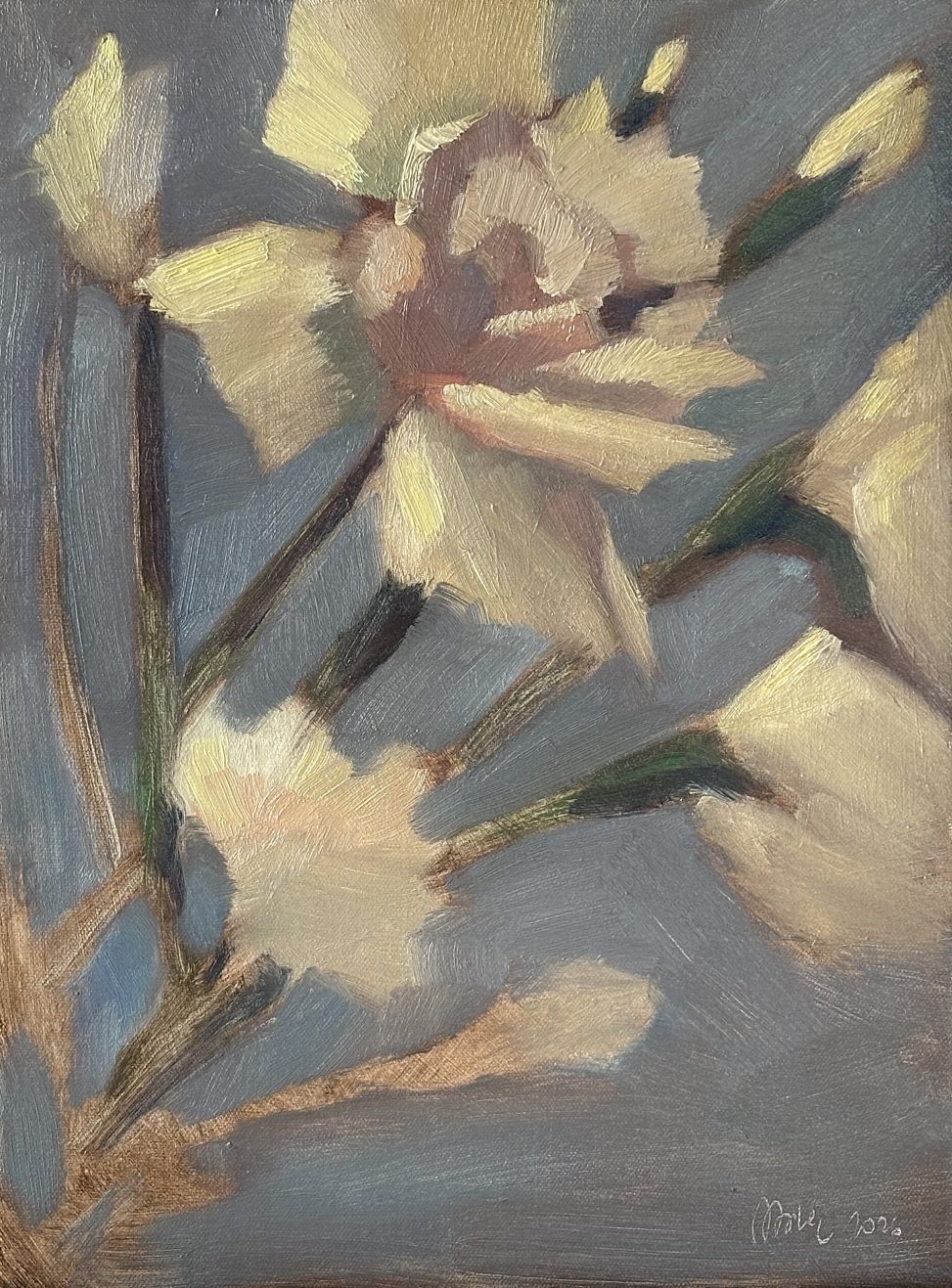 Meditation on the light within carnation petals