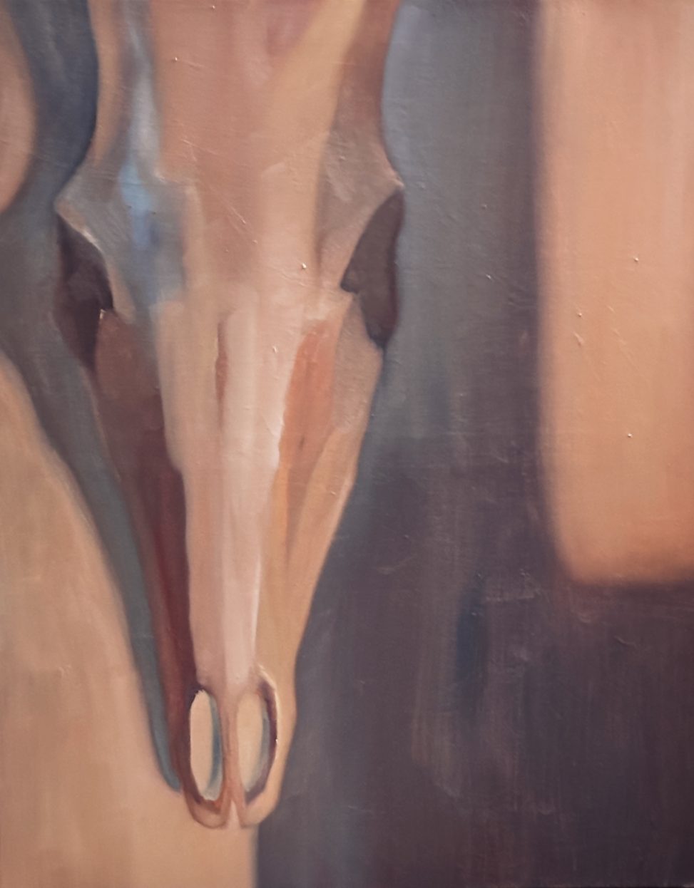Oil painting on canvas, 60x80 cm. A close-up study of a deer skull viewed in profile against a dark background. The bone texture is rendered with raw, heavy brushstrokes, emphasizing the ivory and gray tones. The skull is bathed in the warm, low-angle light of the final minutes of dusk, casting a sharp, elongated shadow on the wall behind it. The composition is clinical and still.