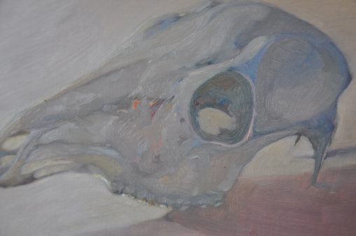 An oil study titled 'Bone White', focusing on the skeletal remains of an animal. The brushwork is thick and deliberate, rendering the skull in muted, earthy tones—greys, blues, and off-whites that suggest the texture of calcified bone. The artist ignores romanticism, treating the skull as a complex, architectural form. The surface has a matte, almost chalky quality, emphasizing the stillness of the object. There is no background; the skull exists in a void, asserting its presence as a relic of natural decay.