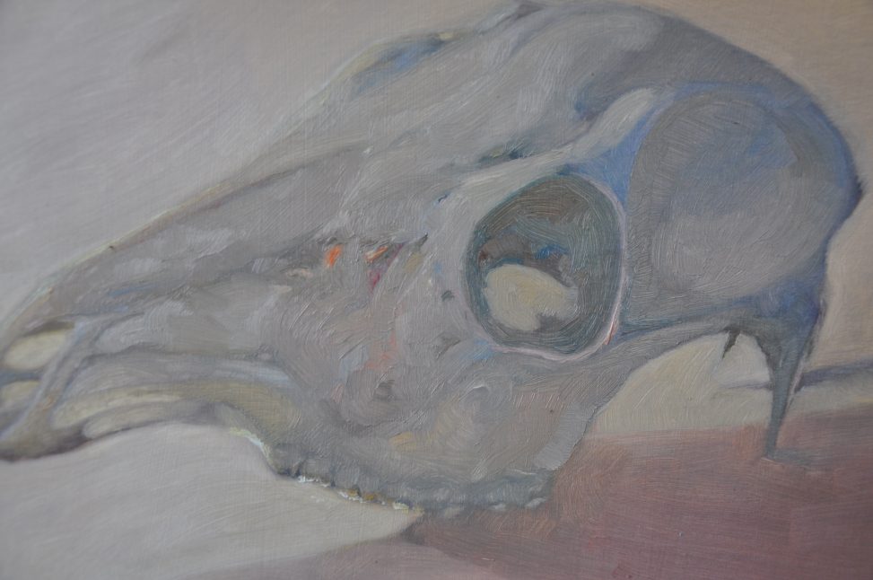 An oil study titled 'Bone White', focusing on the skeletal remains of an animal. The brushwork is thick and deliberate, rendering the skull in muted, earthy tones—greys, blues, and off-whites that suggest the texture of calcified bone. The artist ignores romanticism, treating the skull as a complex, architectural form. The surface has a matte, almost chalky quality, emphasizing the stillness of the object. There is no background; the skull exists in a void, asserting its presence as a relic of natural decay.