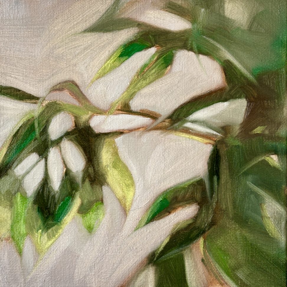 Oil painting titled 'Meditation on an intriguing case of human residue: Ficus'. A study of a potted plant with deep green leaves emerging from a neutral, grey background. The composition focuses on the organic structure of the foliage and the texture of the brushstrokes. The painting serves as a metaphor for the enduring presence left behind by a deceased person, presenting the plant not merely as an object, but as a living residuum—a trace of existence that has persisted.