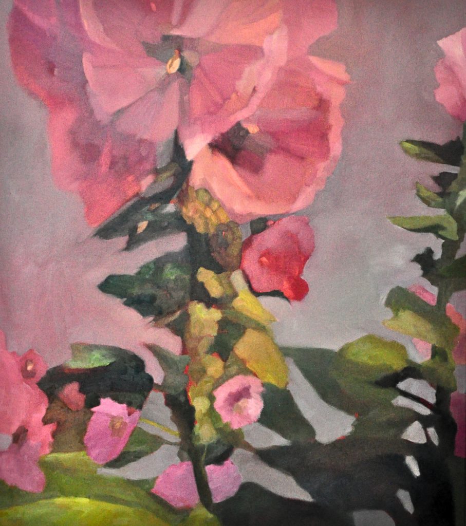 June hollyhocks on a morning dog walk.